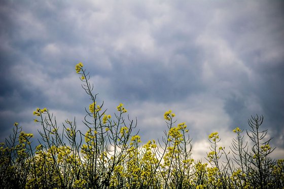 Bild: Wetter-Bild
