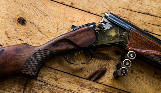 Bild: Amnestieregelung: Illegale Waffen und Munition jetzt abgeben