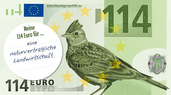 Bild: Postkarte