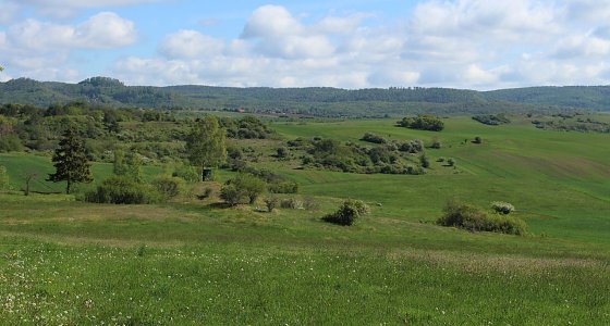 Bild: Blick von den Pfaffenk&ouml;pfen