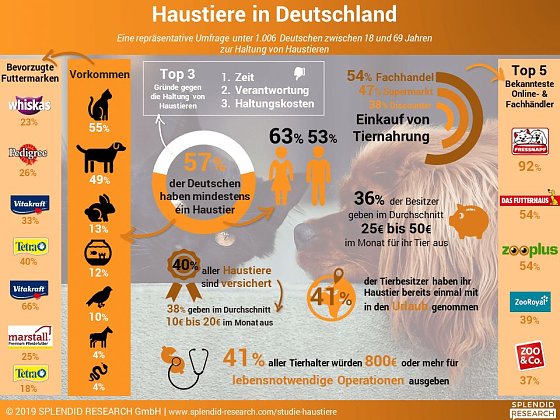 Bild: Grafik