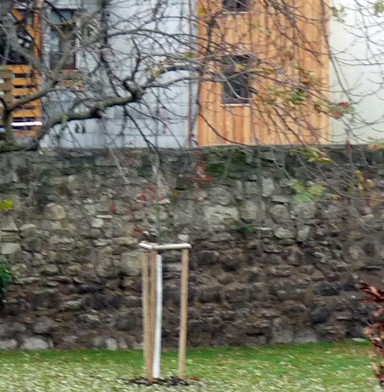 Bild: Vandalen am Gottesacker
