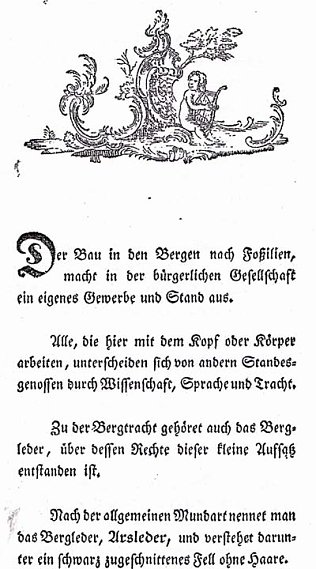 Bild: Das Arschleder