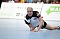 Starker Auftritt der Handball-Damen des THC Starker Auftritt der Handball-Damen des THC