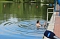 Erste Badegäste am Bebraer Teich Erste Badegäste am Bebraer Teich