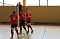 Neues vom Volleyball Neues vom Volleyball