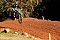 Hamma Moto Cross