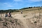 Trailparks Bad Frankenhausen er&ouml;ffnet