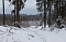 Braunlage im Schnee Braunlage im Schnee