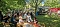 Das Stra&szlig;enfest der Kindervilla in Bad Frankenhausen wurde zum Wiesenfest