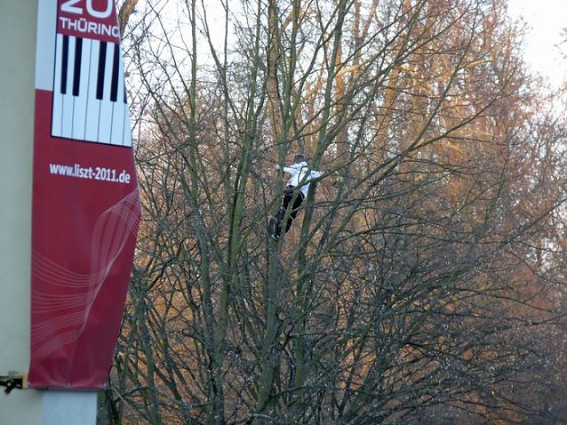 Bild: Jugend musiziert