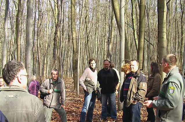 Bild: Waldgang am Possen
