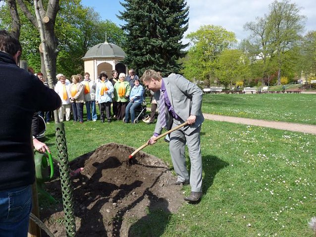 Bild: Baum gepflanzt