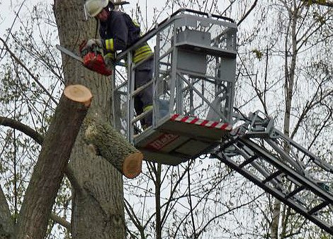 Bild: Feuerwehr im Borntal