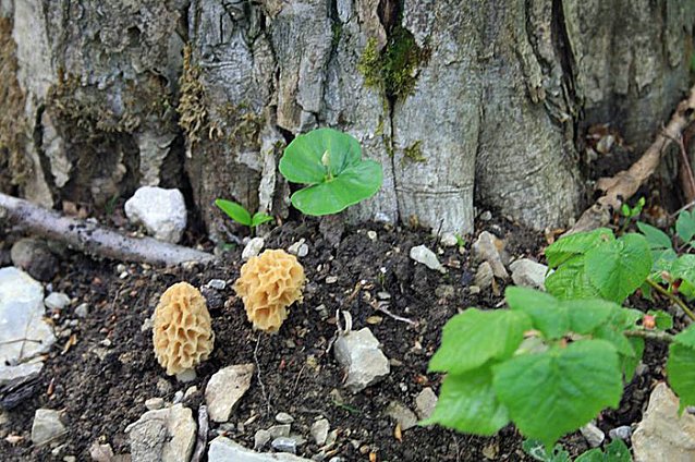 Bild: Entdecken Sie die Natur