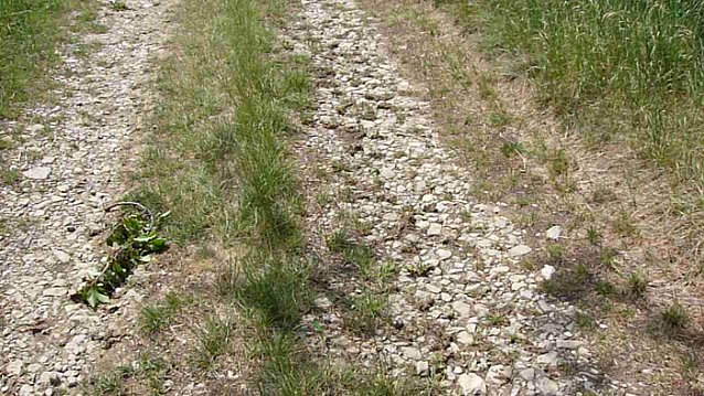 Bild: Radweg nach Oberspier