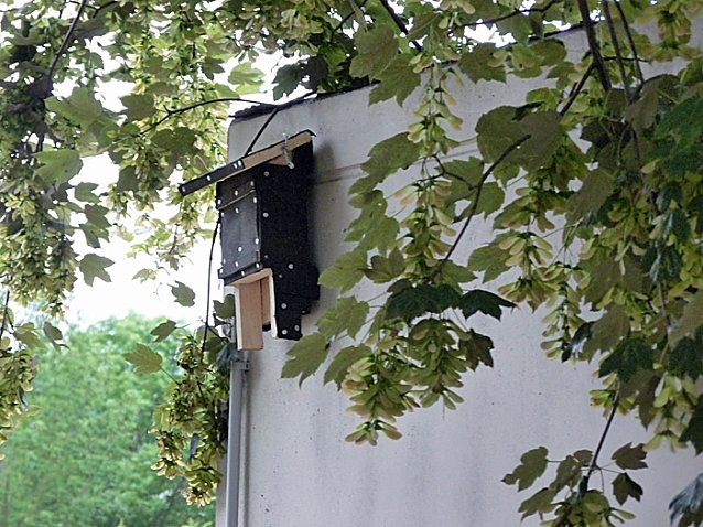 Bild: Fledermausfreundliche Kindervilla