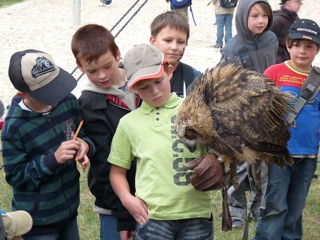 Bild: Kindertag im Ferienpark