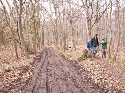 Bild: Wanderweg schwer begehbar