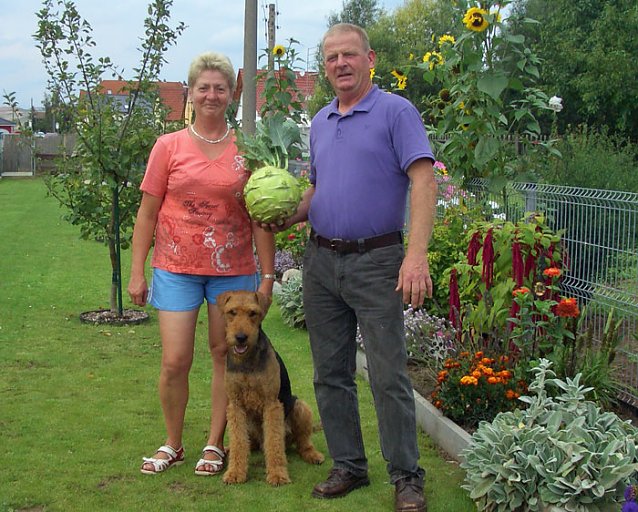 Bild: Riesenkohlrabi