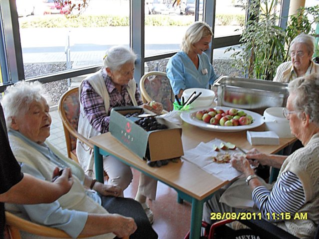 Bild: Kleingartenvereine spendeten Obst