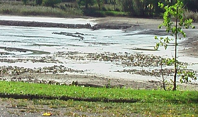 Bild: Bebraer Teich