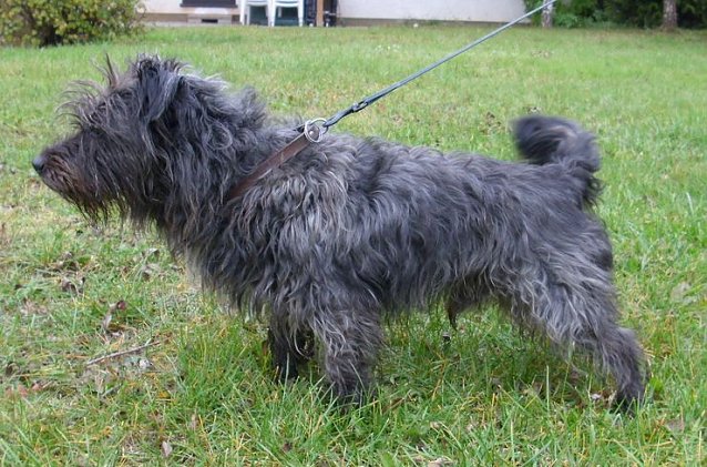 Bild: Benny