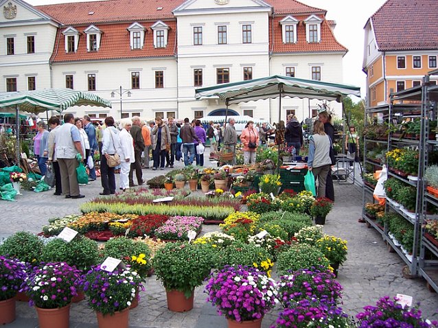 Bild: SDH in K&uuml;rze