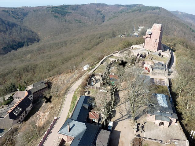 Bild: Geolift und mehr