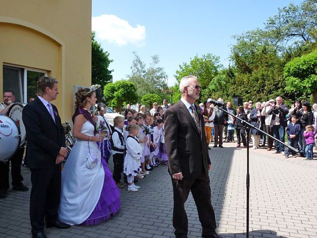 Bild: Flieder geehrt