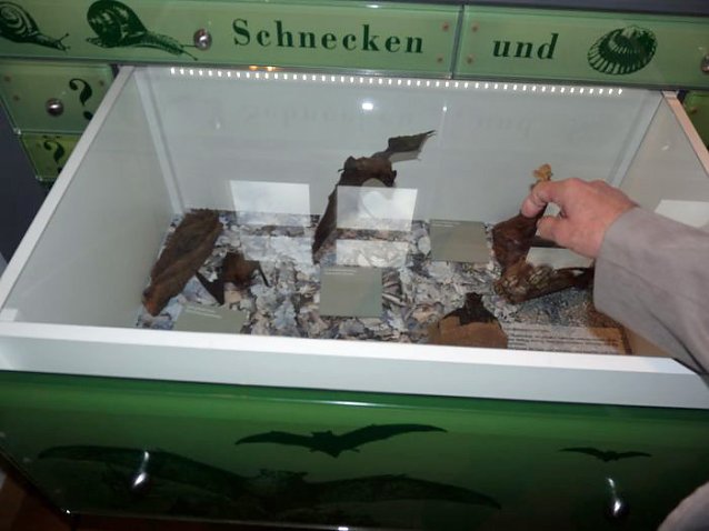 Bild: Neue Ausstellung geplant