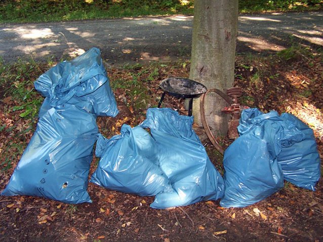 Bild: CITO - M&uuml;llsuche im Possenwald