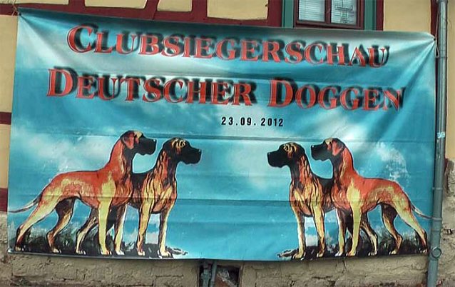 Bild: Doggen &uuml;berall