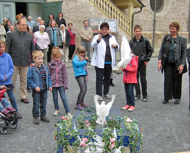 Bild: Friedenstauben im Flug 
