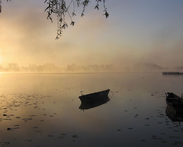 Bild: Herbstnebel