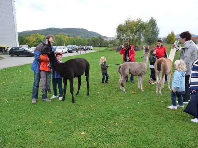 Bild: Kinderfest des SGW