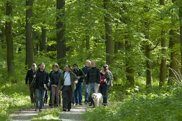 Bild: Buchen sollst Du suchen ...