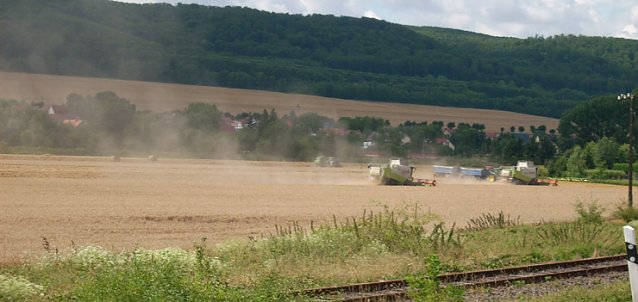 Bild: Getreideernte bei Berka