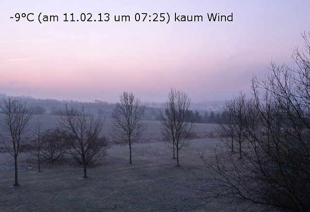 Bild: Sau kalt