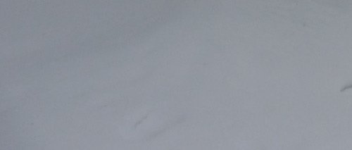 Bild: Schnee