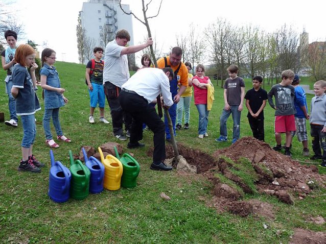 Bild: Baumfest im Hasenholz/&Ouml;stertal