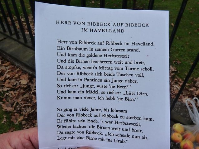 Bild: Der besondere Apfelbaum