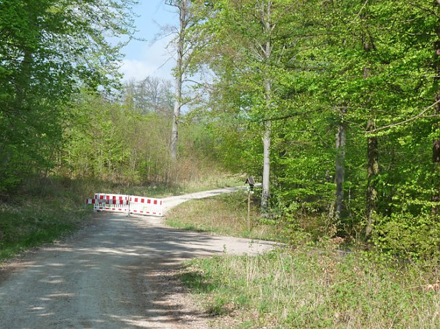Bild: Noch Behinderungen