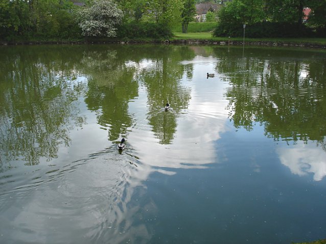 Bild: Gro&szlig;er Parkteich Sondershausen
