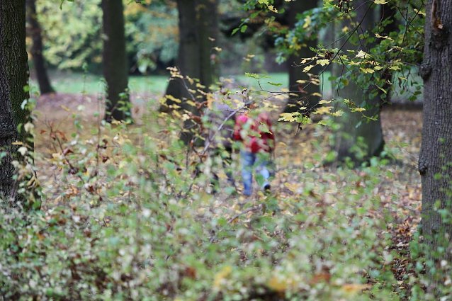 Bild: Im Herbst wandern