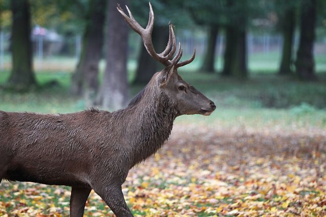 Bild: Im Stadtpark