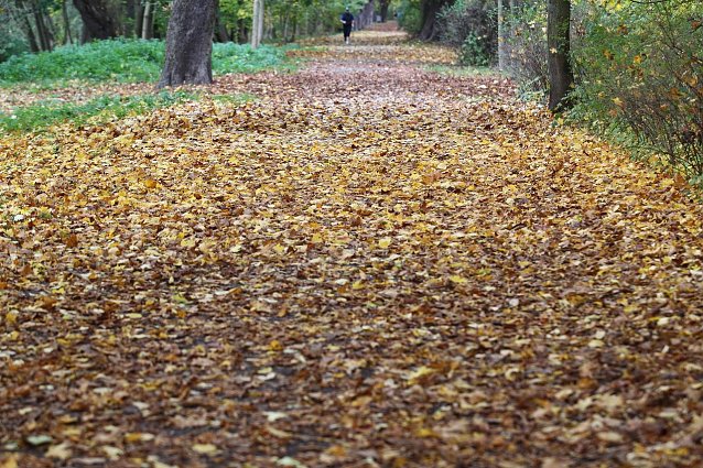 Bild: Nordh&auml;user Stadtpark