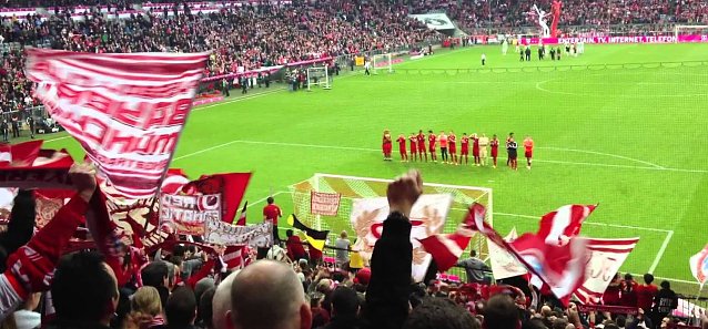 Bild: Fans im Stadion