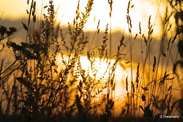 Bild: Scheint die Sonne ein wenig am Wochenende?