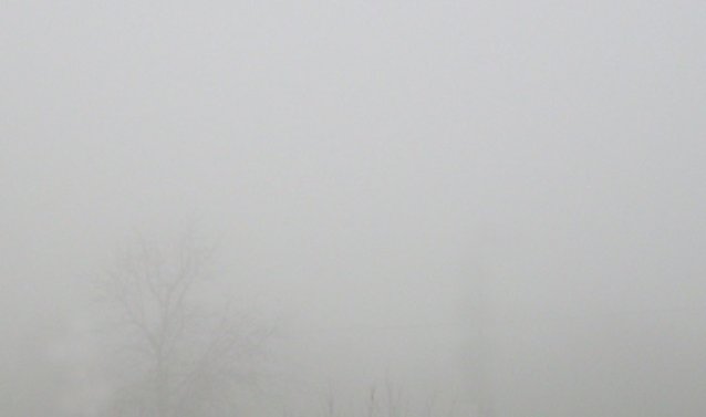 Bild: Brenntage im Herbst